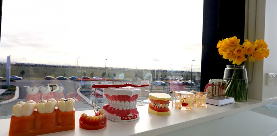 Orthodontics