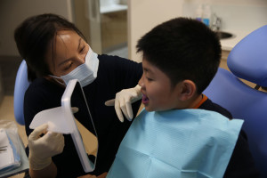 Dr Mary Phan dentist